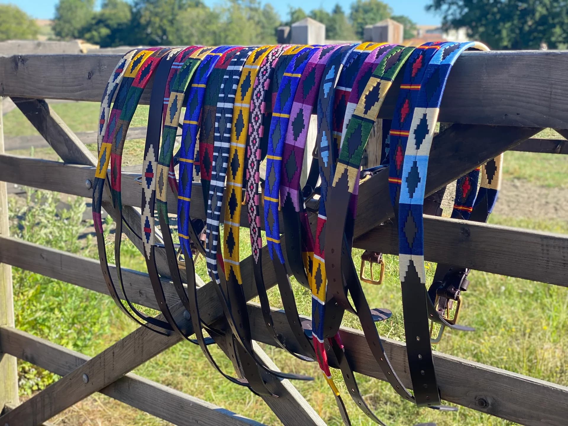 Polo Belts Banner