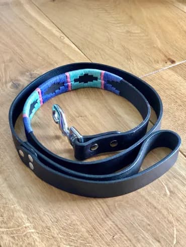 Blue rope dog collar and lead