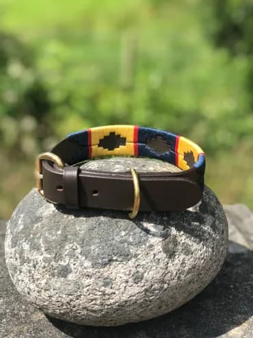 Blue rope dog collar and lead