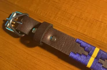 Blue rope dog collar and lead