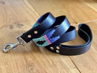 Blue rope dog collar and lead